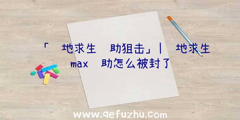 「绝地求生辅助狙击」|绝地求生max辅助怎么被封了